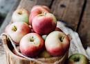 Bucket of apples